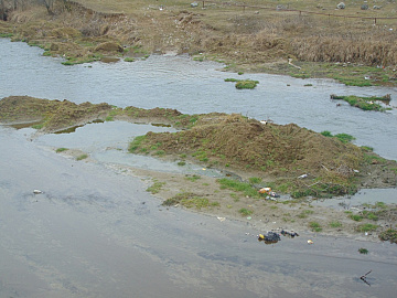 DSC00955