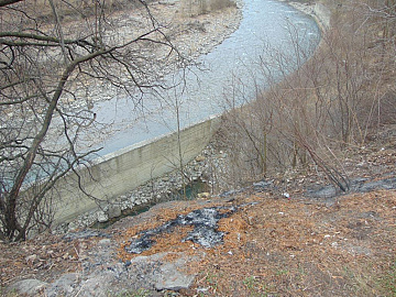DSC01101