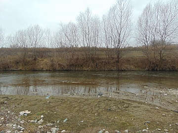 DSC00987