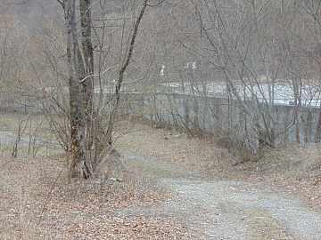 DSC00951