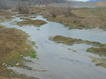 DSC00953
