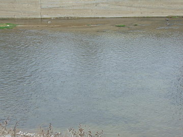 DSC00978