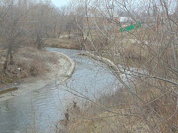 DSC01019