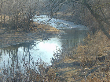 DSC00930