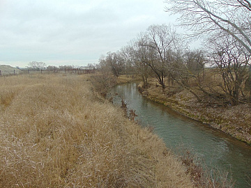 DSC00991