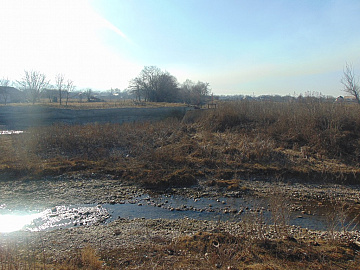 DSC00923