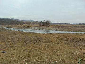 DSC00960