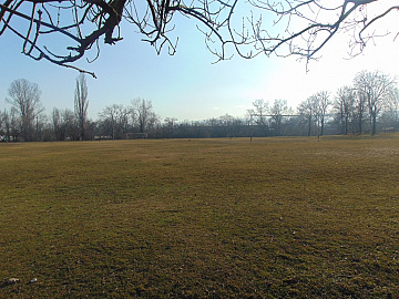 DSC00935