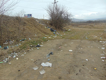 DSC00981