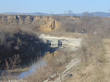 DSC00924