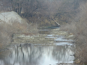 DSC01005
