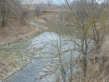 DSC00993