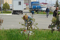 DSC01803