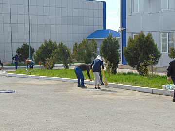 DSC01800