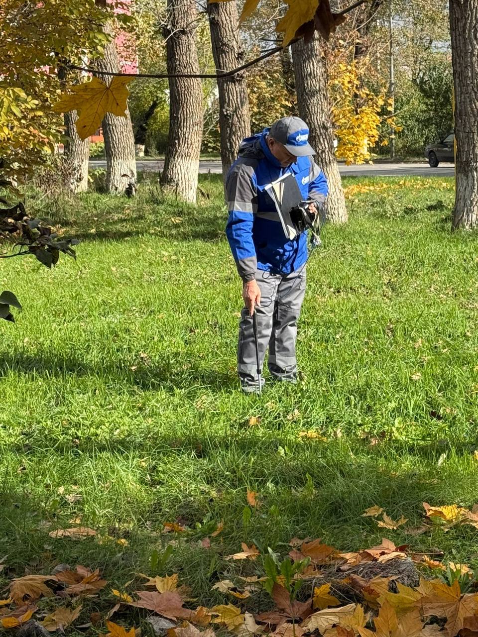 photo 5194941731571890931 y